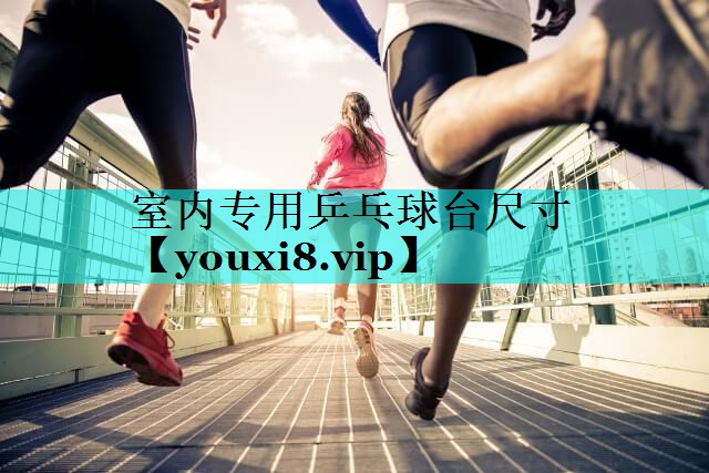 室内专用乒乓球台尺寸