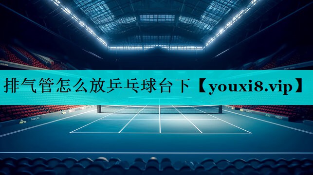 排气管怎么放乒乓球台下