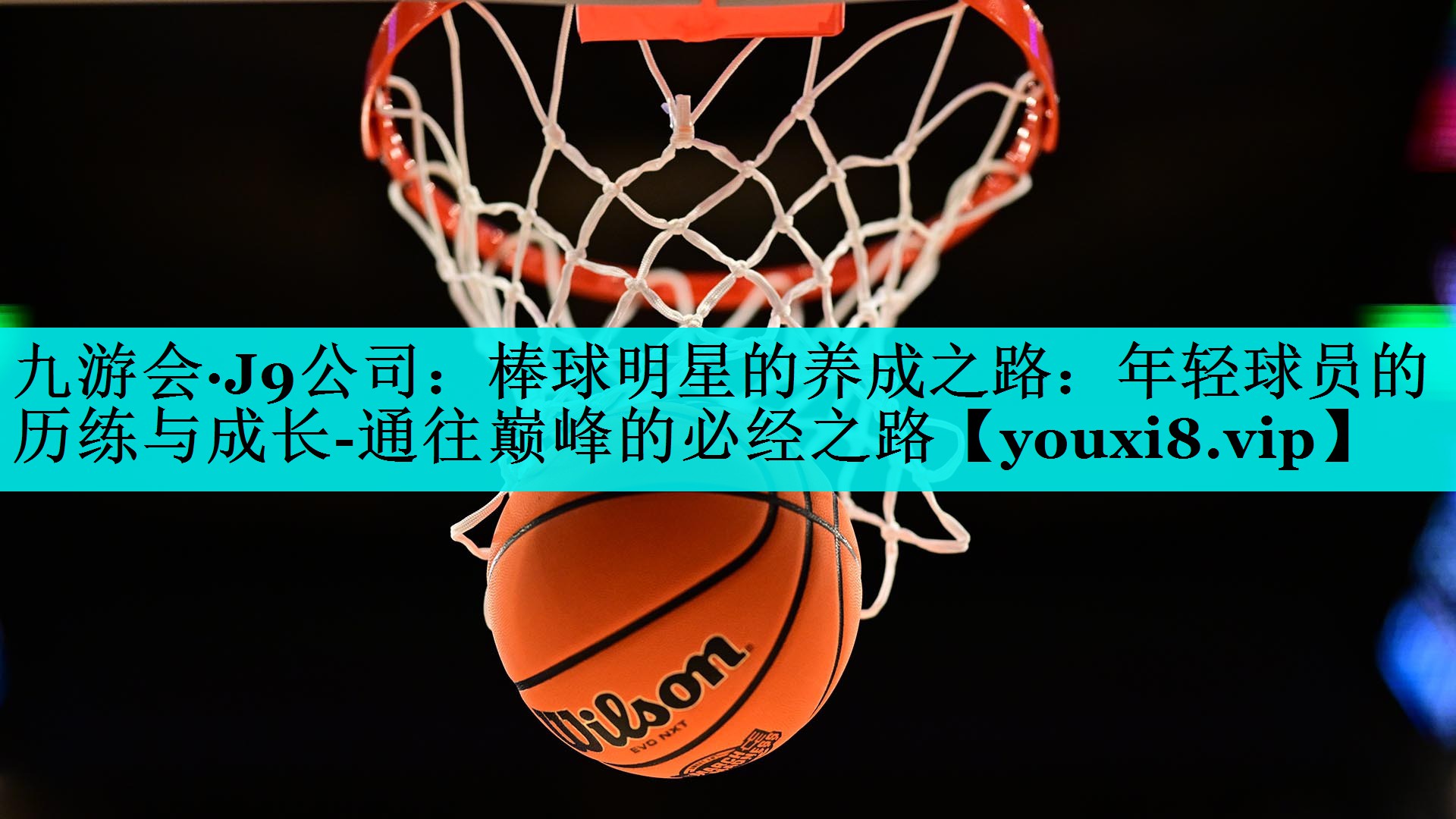 棒球明星的养成之路：年轻球员的历练与成长-通往巅峰的必经之路