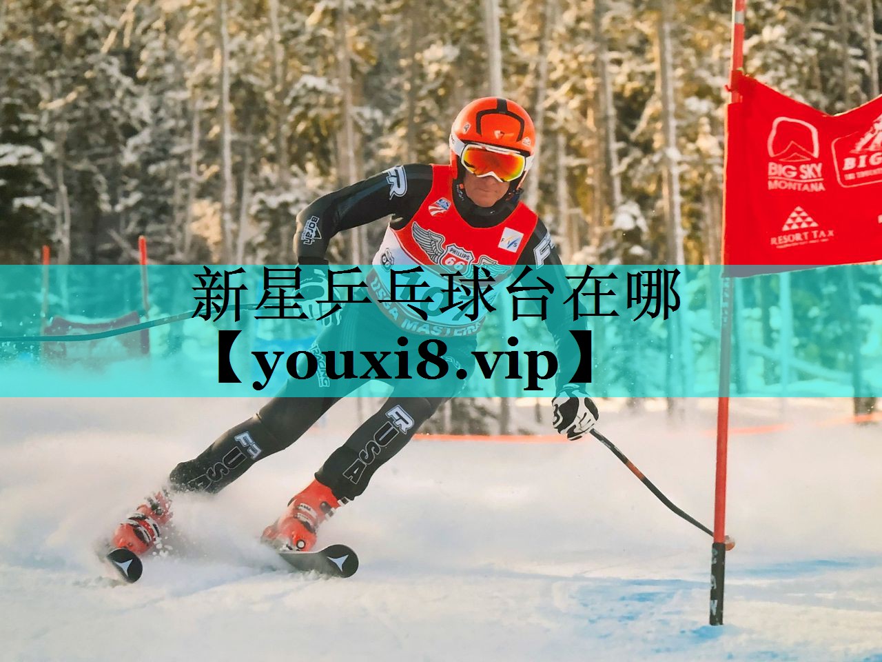 新星乒乓球台在哪