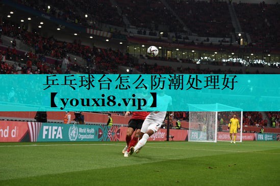 乒乓球台怎么防潮处理好